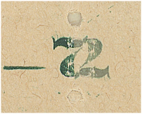 Simulated image detail with inverted overlay added.